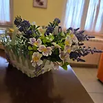 Farfalle In Fiore Apartment