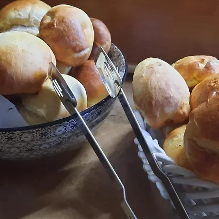 아파트 Farfalle In Fiore *