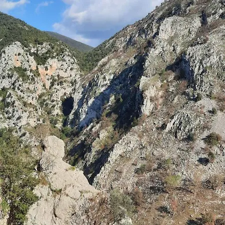 Farfalle In Fiore Roccasecca