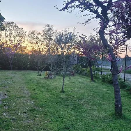 Farfalle In Fiore Roccasecca