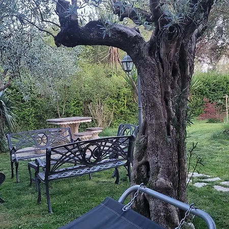 Farfalle In Fiore Apartment Roccasecca