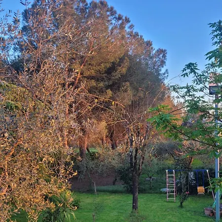 Apartment Farfalle In Fiore