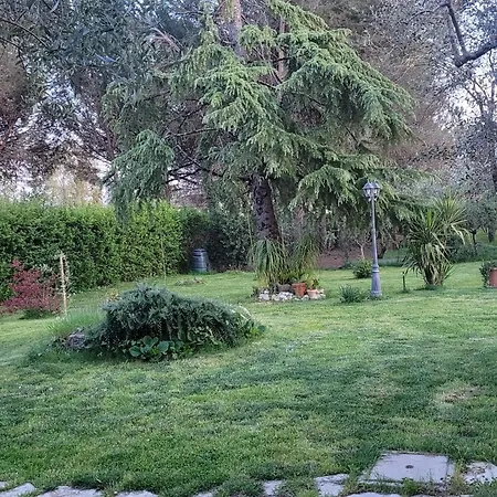 Farfalle In Fiore Roccasecca