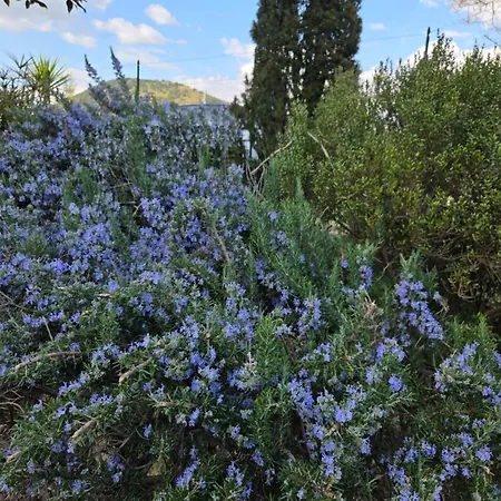 Farfalle In Fiore Apartment