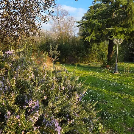 Apartment Farfalle In Fiore *