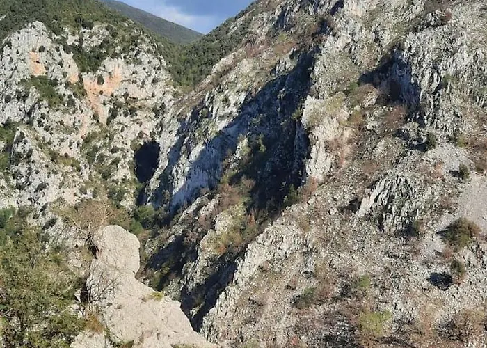 Farfalle In Fiore Roccasecca