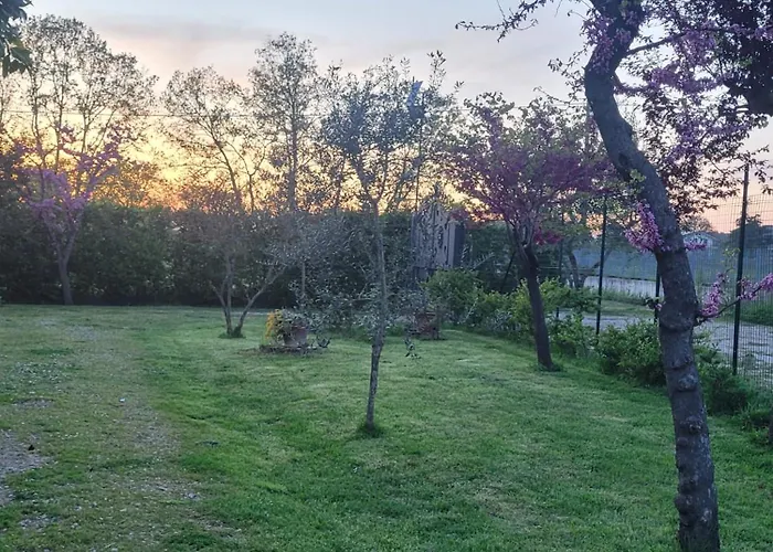 Farfalle In Fiore Roccasecca