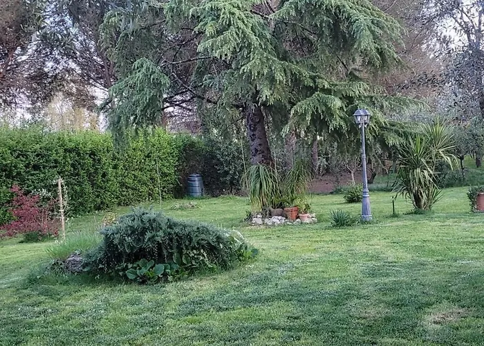 Farfalle In Fiore Roccasecca